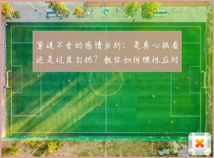 紧追不舍的感情分析:是真心执着还是过度打扰?教你如何理性应对